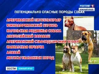 Список опасных пород собак в россии в 2019 — полный перечень мвд