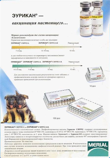 Как проходит вакцинация собак препаратом эурикан от бешенства и других вирусов