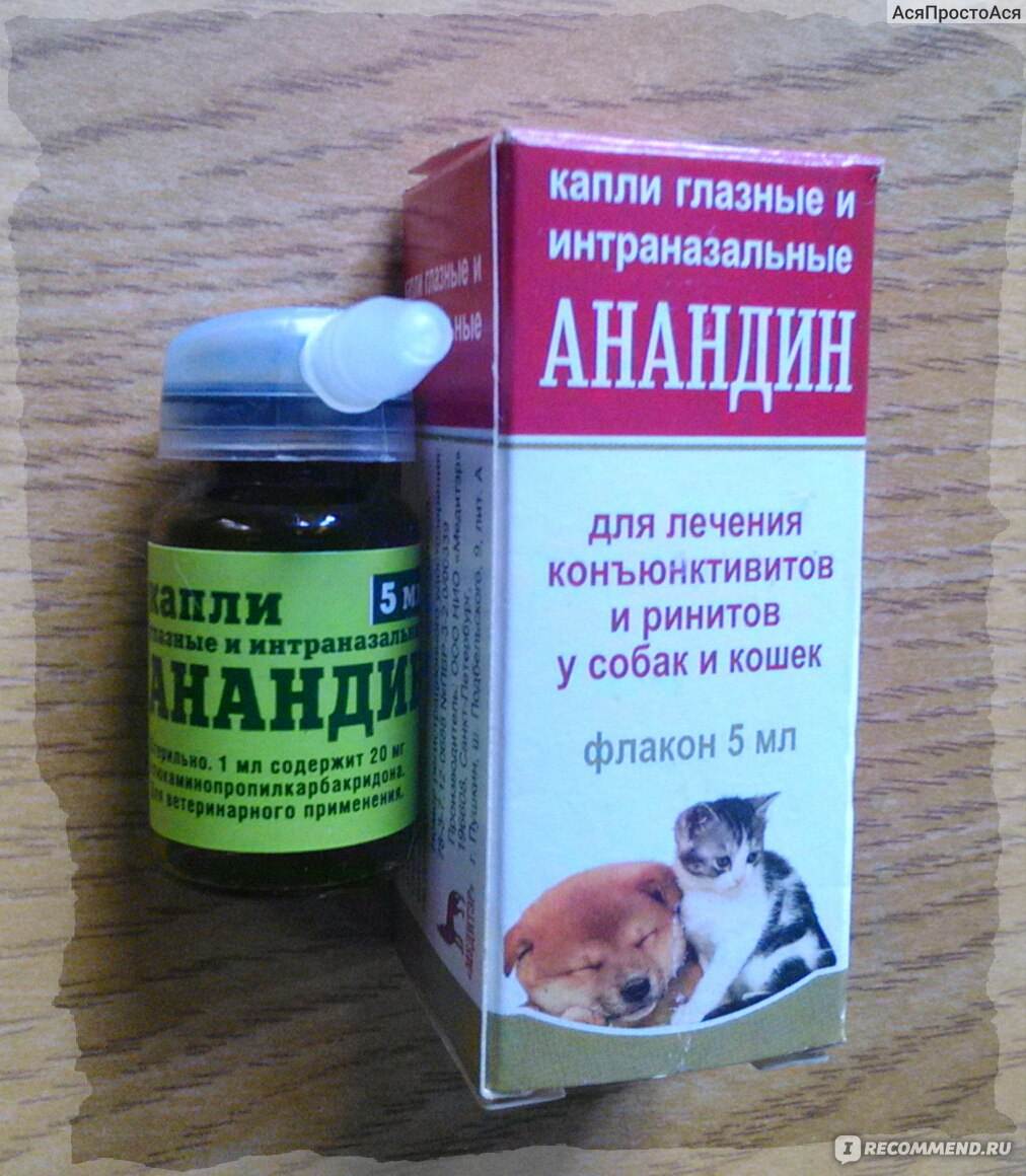 Максидин (капли) для кошек и собак | отзывы о применении препаратов для животных от ветеринаров и заводчиков
