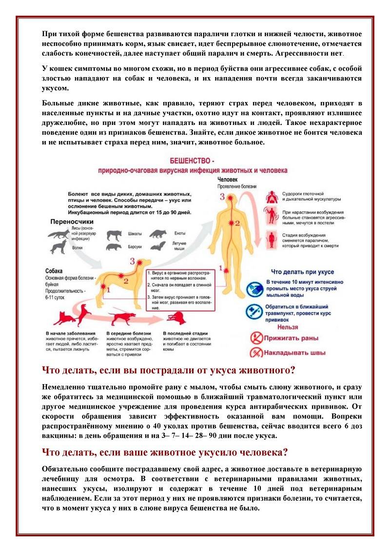 Розовый лишай (болезнь жибера). тревожные симптомы и эффективное лечение