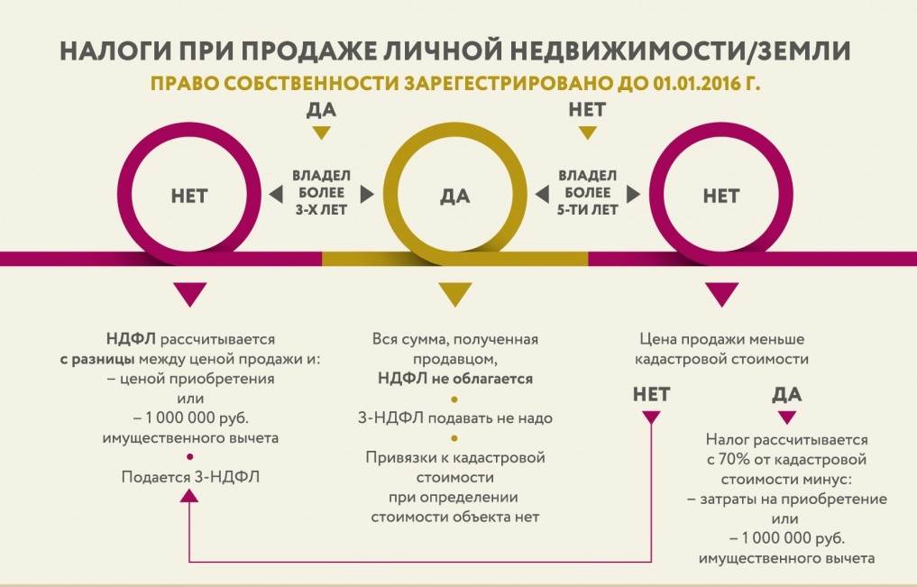 Налог на кошек и собак в россии в 2019 году