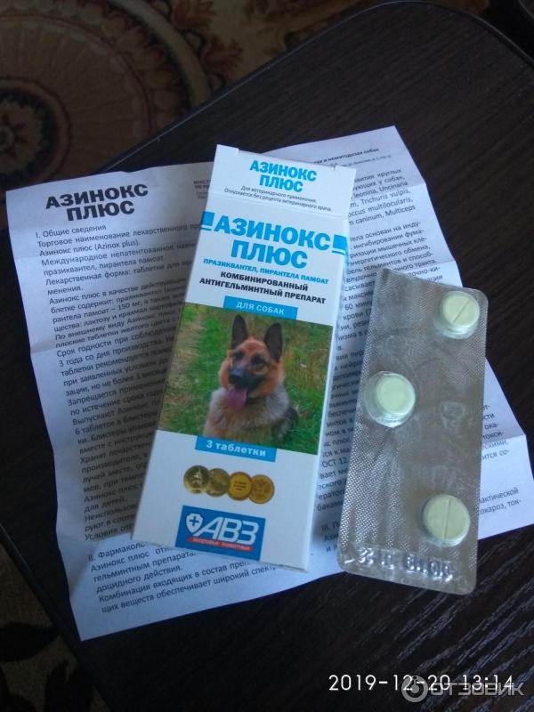 Инструкция к препарату азинокс плюс для собак: эффективная борьба с гельминтами