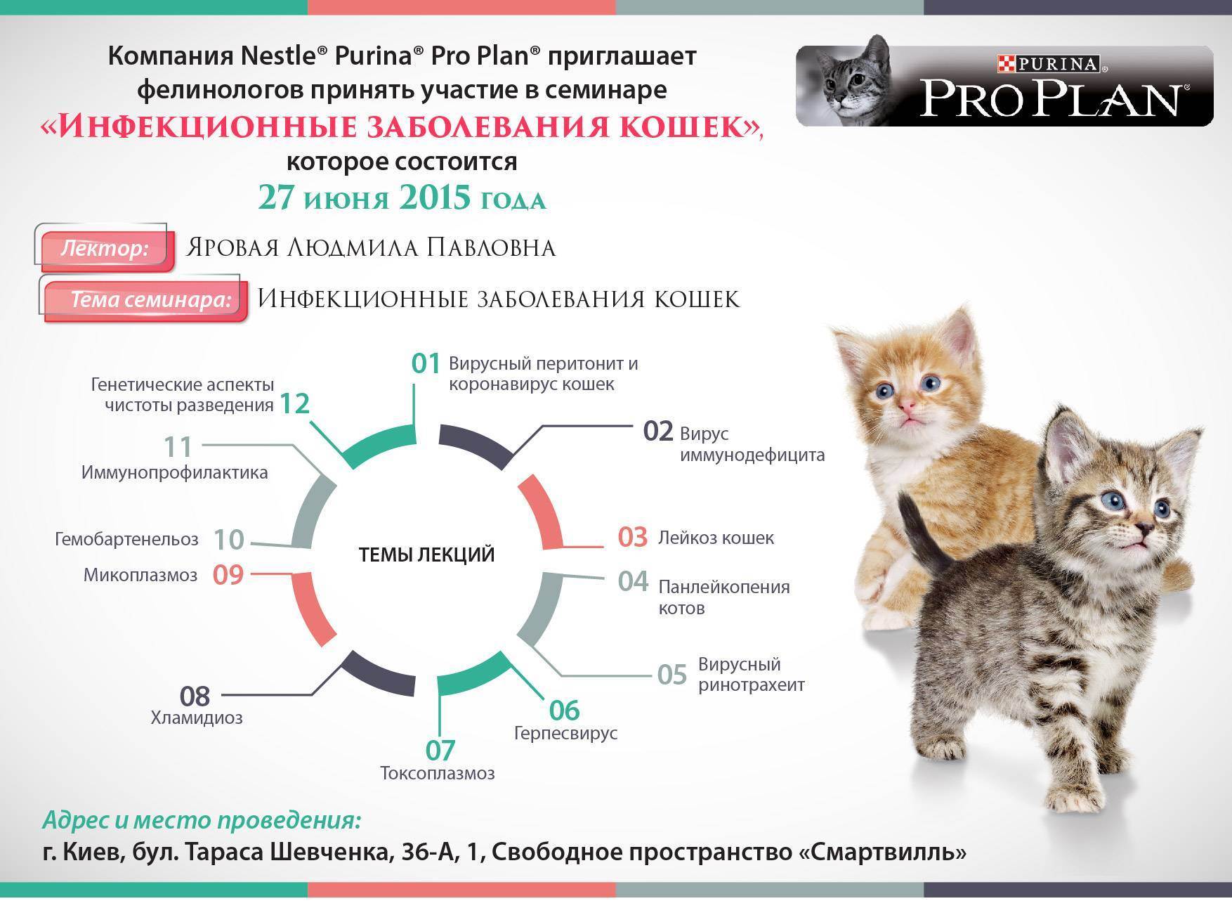 Калицивироз у кошек и котят. лечение, причины, симптомы. в россии