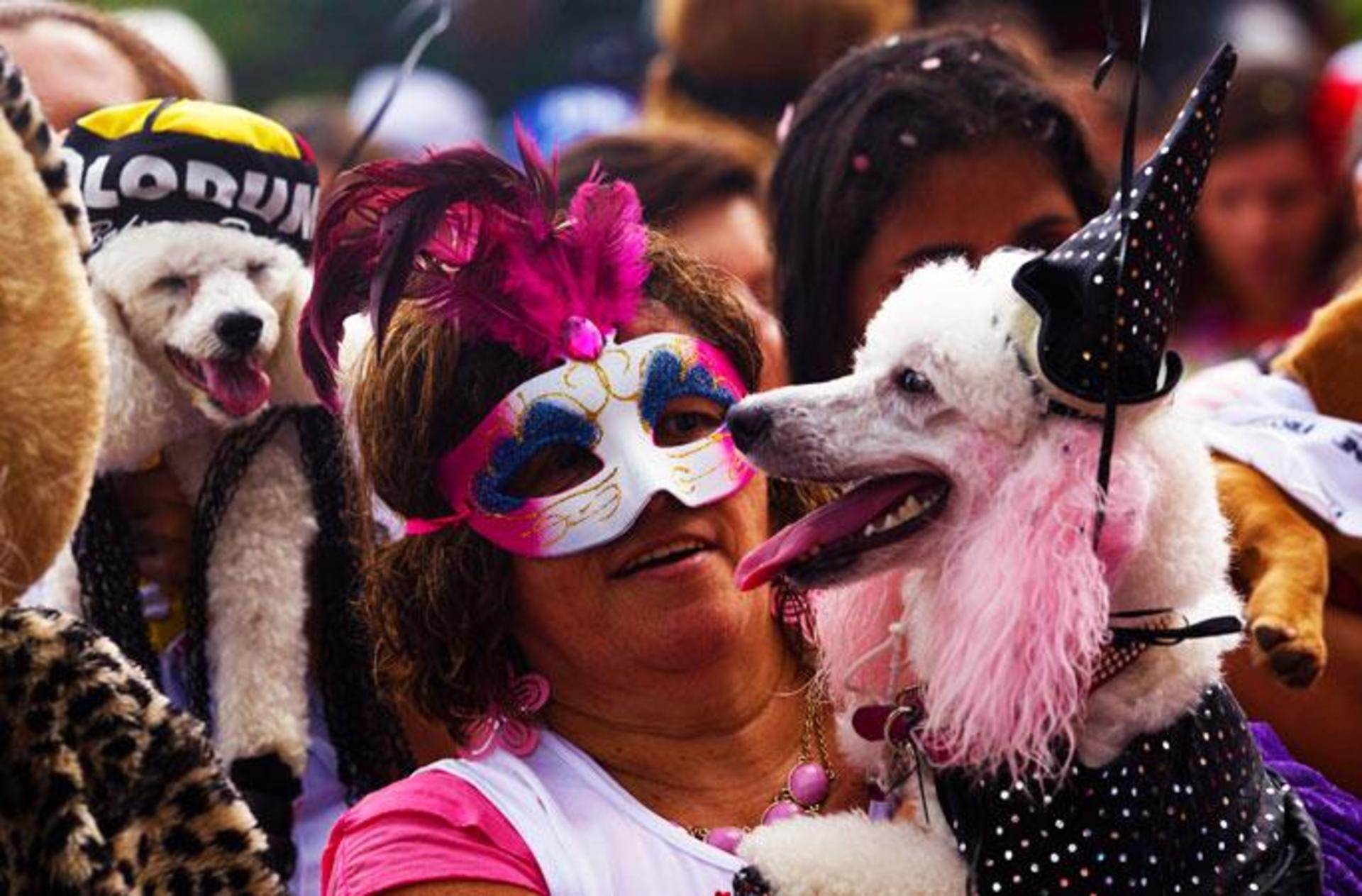 Ну, как съездила на карнавал в рио. «70 тысяч человек погружаются в общий транс» - citydog.by | журнал о минске