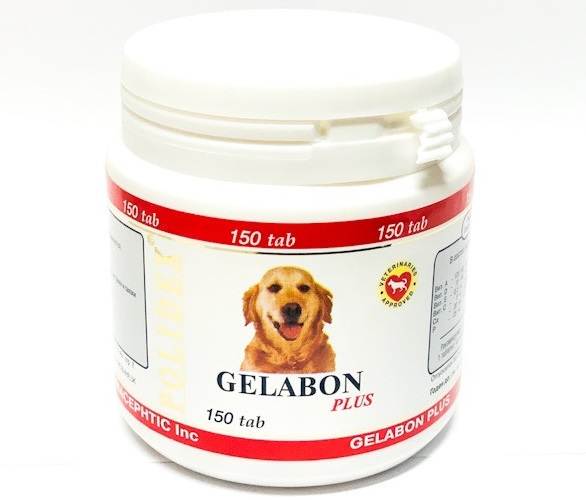 Гелабон для собак – здоровые кости, счастливый питомец