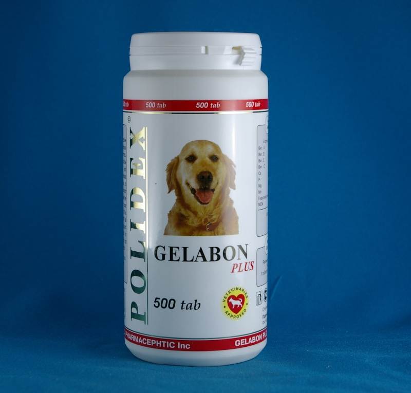 Витамины Полидекс для собак