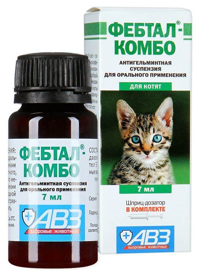 10 препаратов от глистов (антигельминтных) для собак: таблетки, капли, уколы - kotiko.ru