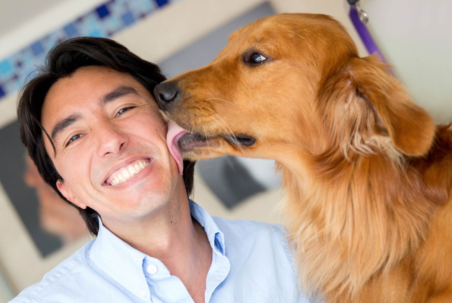 Почему собаки любят людей: размышления и не только… | ваши питомцы