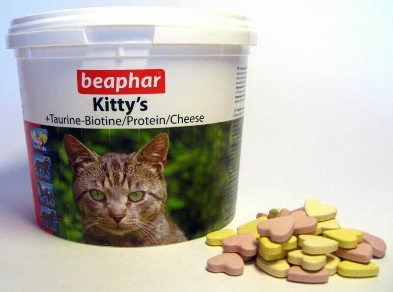 Витамины для кошек и котов: от выпадения шерсти, для иммунитета и других целей, обзор препаратов для взрослых животных и котят, отзывы