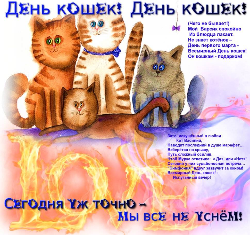 Всемирный день кошек: 8 августа или 1 марта