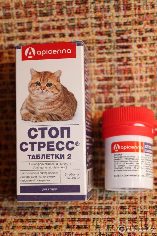 Стоп-Стресс для кошек
