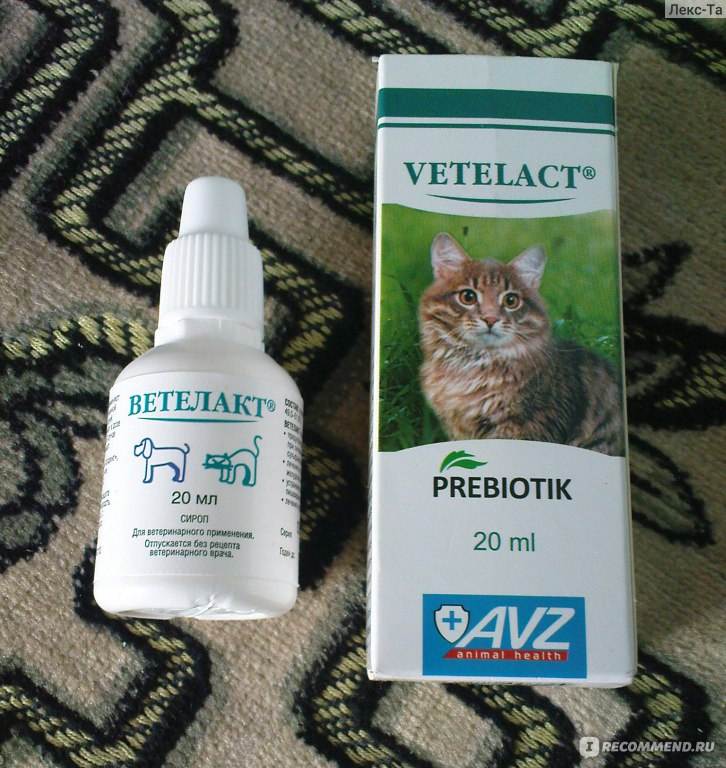 Можно ли давать коту масло. Пребиотик Ветелакт для кошек. Средство от запора для кошек. Слабительные капли для кошек. Препараты от запора для кошек.