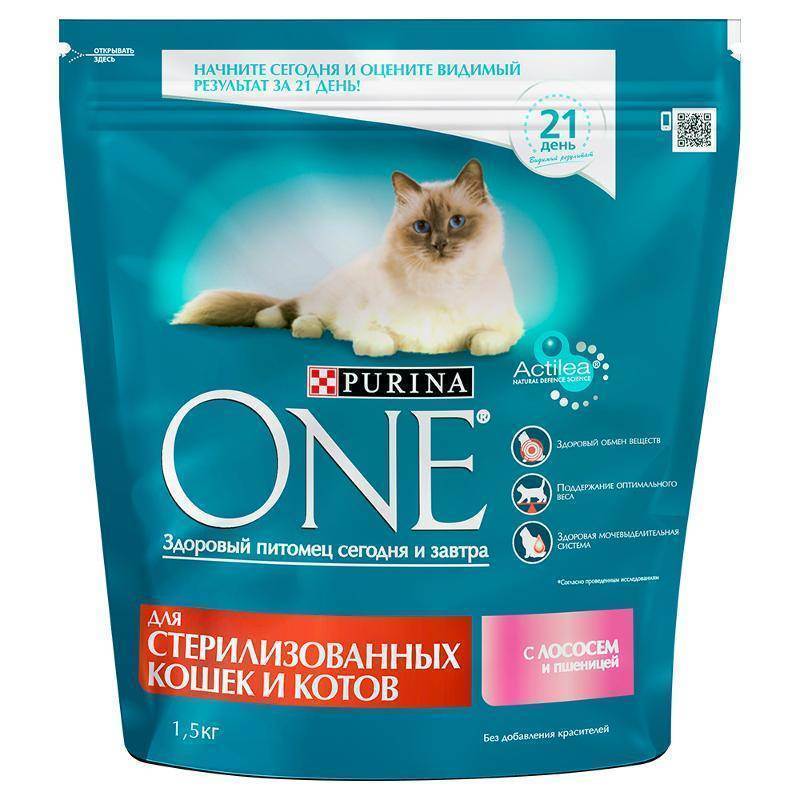 Обзор корма для кошек purina one