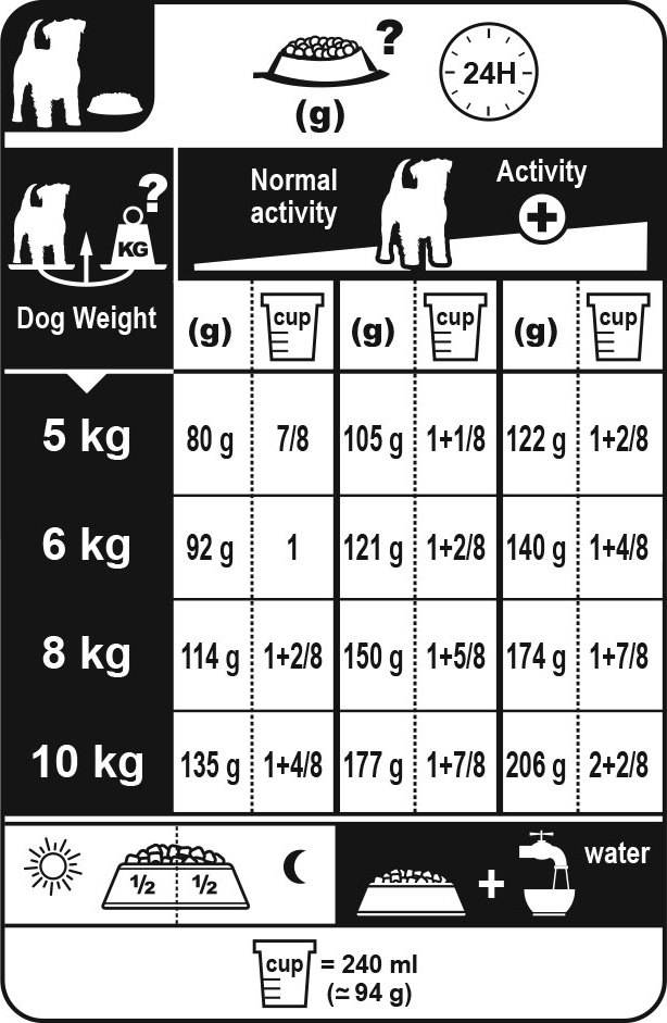 Чем кормить джек-рассел-терьера: основы питания собаки, советы по выбору корма