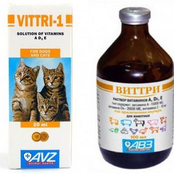 Лучшие витамины для кошек и котов: топ-10 рейтинг 2022
