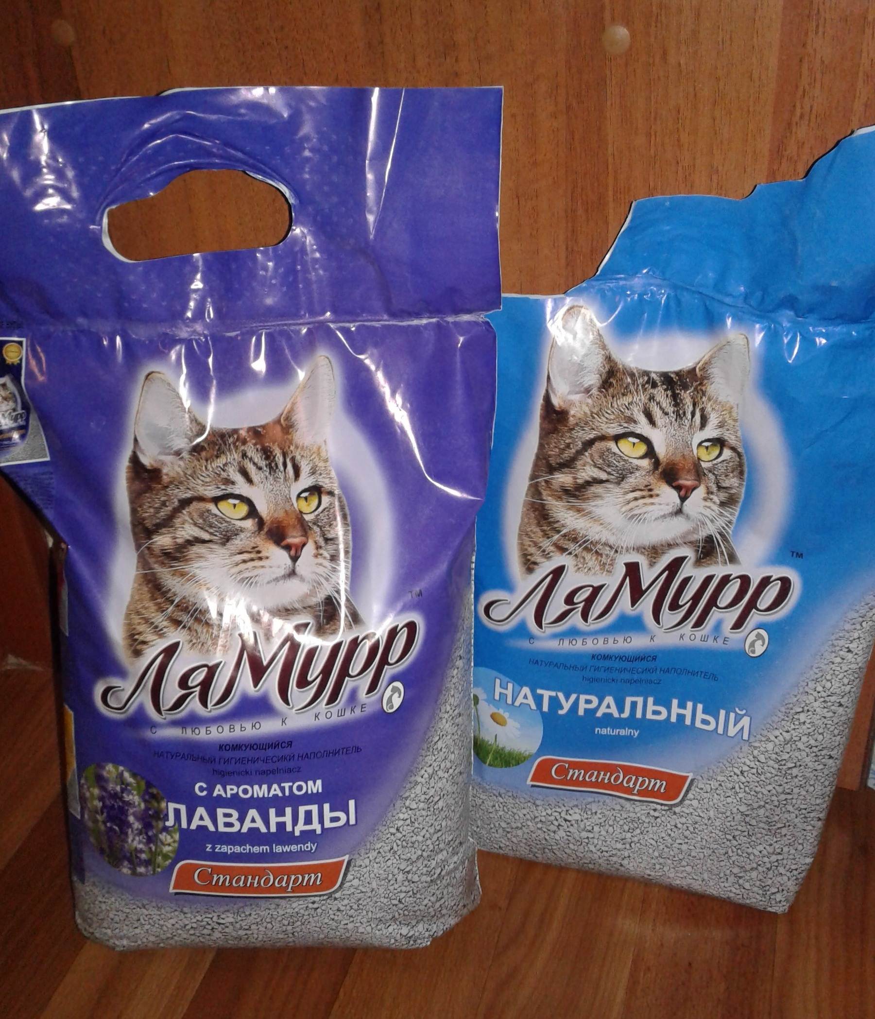 Почему котенок или взрослая кошка ест комкующийся или силикагелевый наполнитель для туалета, что делать?