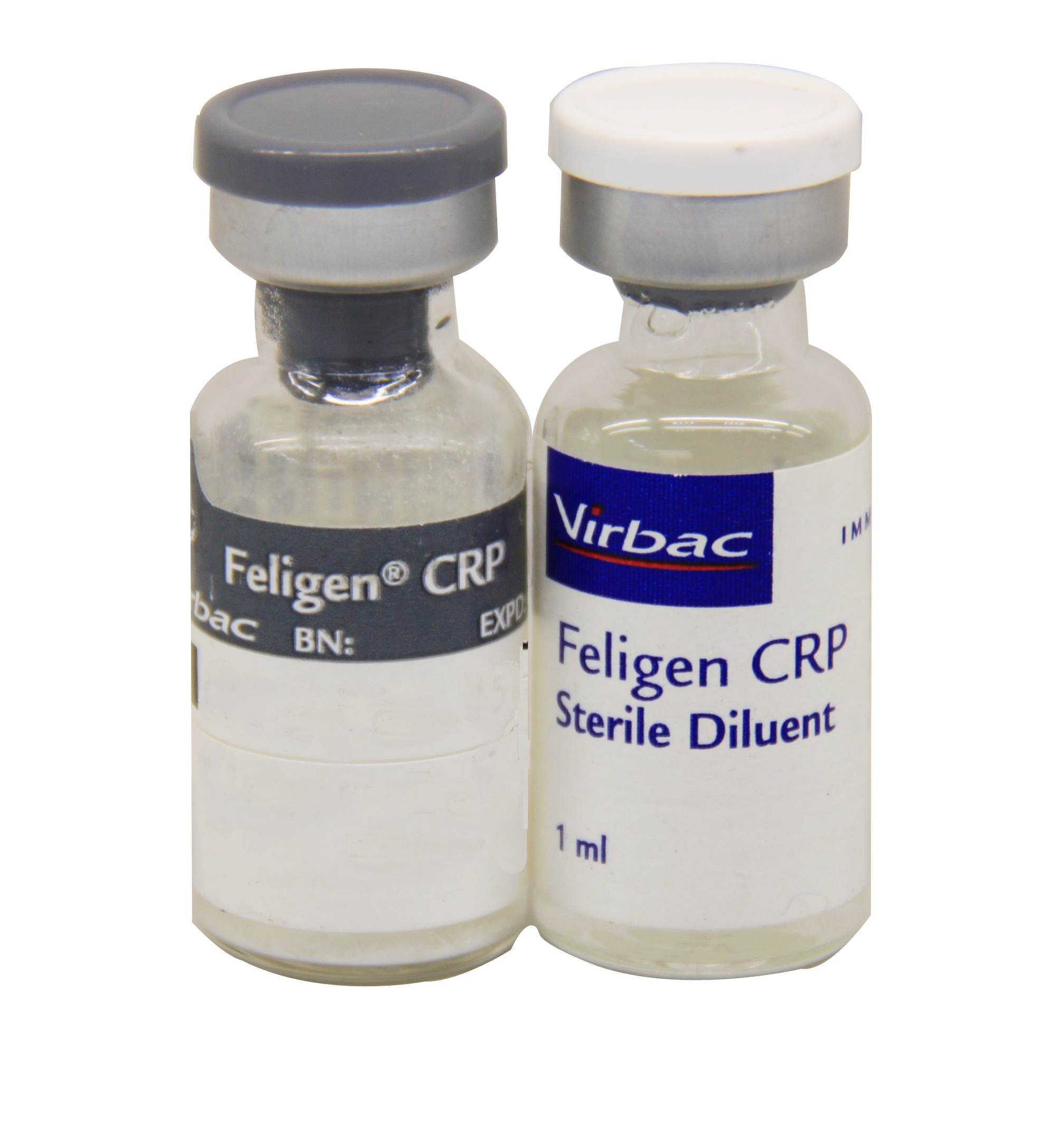 Фелиген — вакцина для кошек