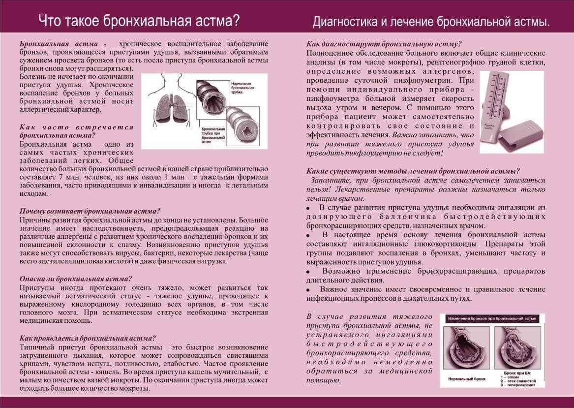 Астма у кошек: симптомы и лечение