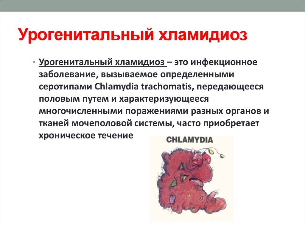 Хламидиоз у собак: фото, причины, симптомы и лечение