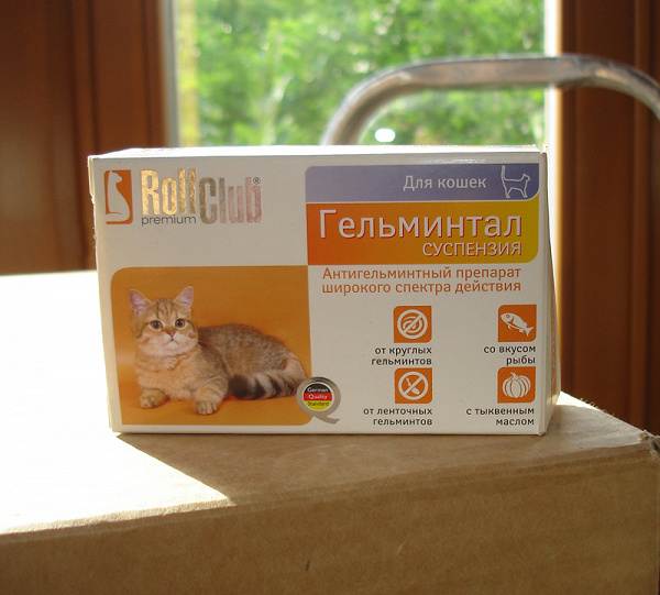 Глистогонные препараты для кошек: топ-11 лучших глистогонных