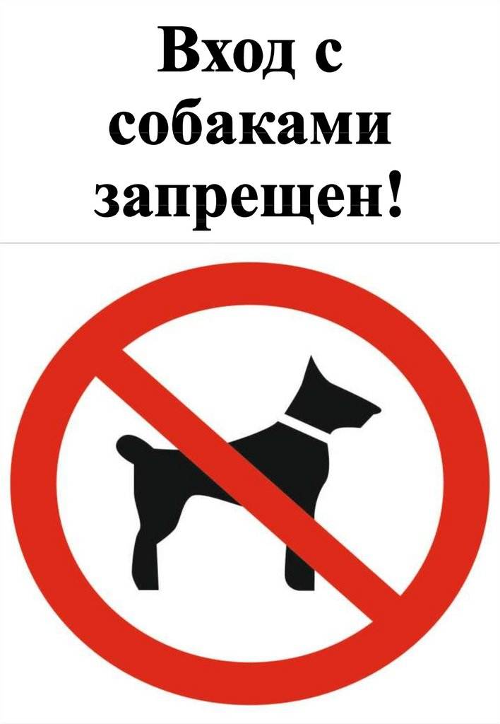 Вход запрещен: почему в магазины нельзя заходить с собаками