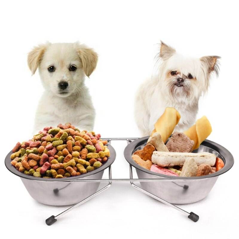 5 простых рецептов домашнего корма для собак
