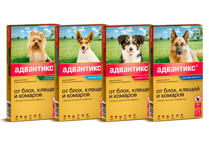 Адвантикс для собак: инструкция по применению, дозировки, отзывы специалистов