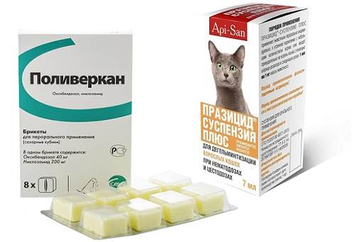 Поливеркан для кошек: инструкция по применению, отзывы, правила приема +видео комментарии известных ветеринаров