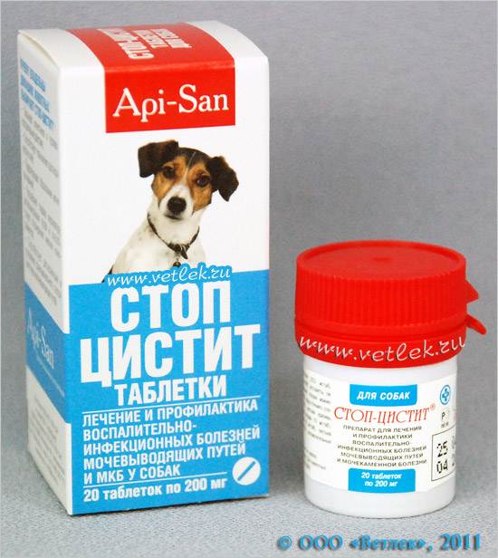 Цистит у собак | апиценна