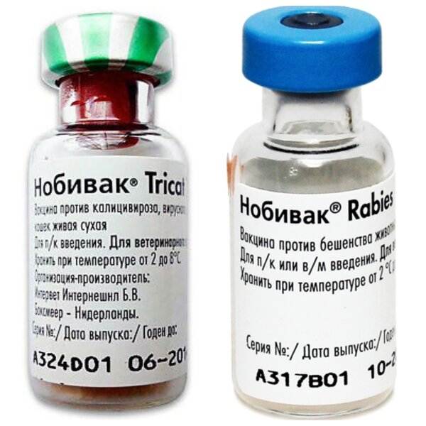 Вакцина для кошек «нобивак трикет трио»: инструкция, отзывы. nobivac tricat trio