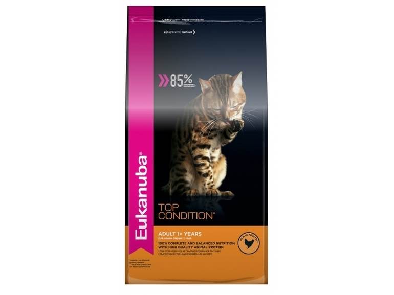 Eukanuba для кошек: производитель, состав, ассортимент, цена, отзывы ветеринаров и владельцев