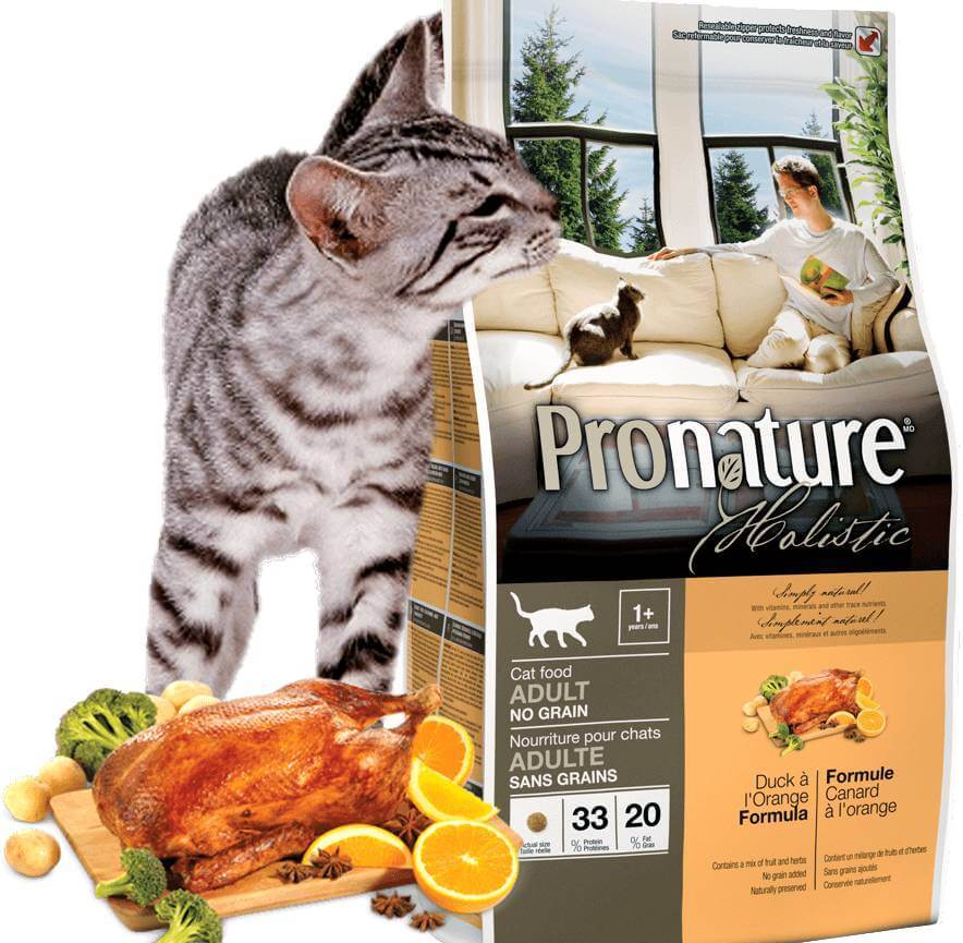 Обзор корма для кошек pronature life