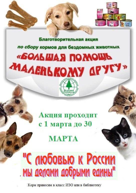 Сквер сибирских кошек в тюмени | история, фото, адрес