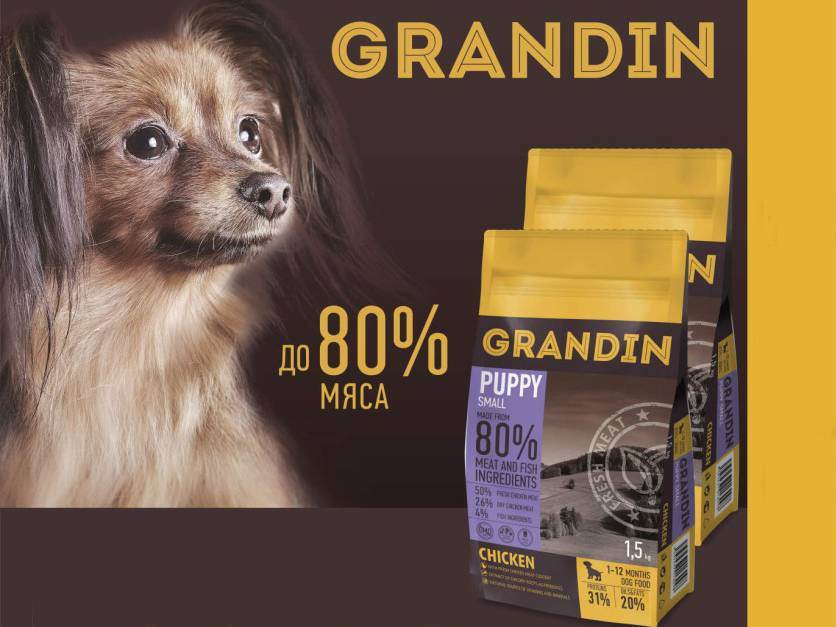 Корм грандин (grandin) для собак: отзывы ветеринаров и владельцев животных
