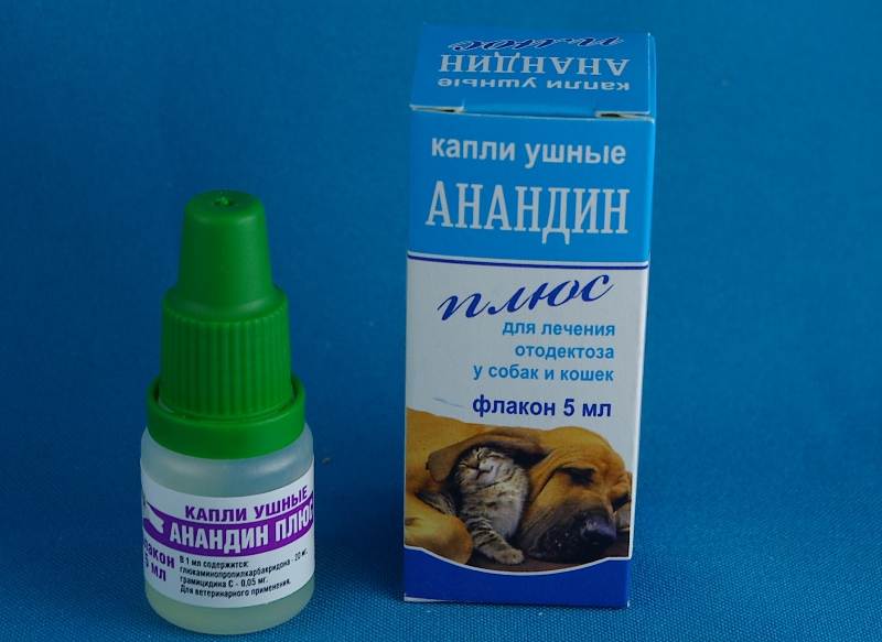 Капли от ушного клеща для кошек, обзор лучших препаратов