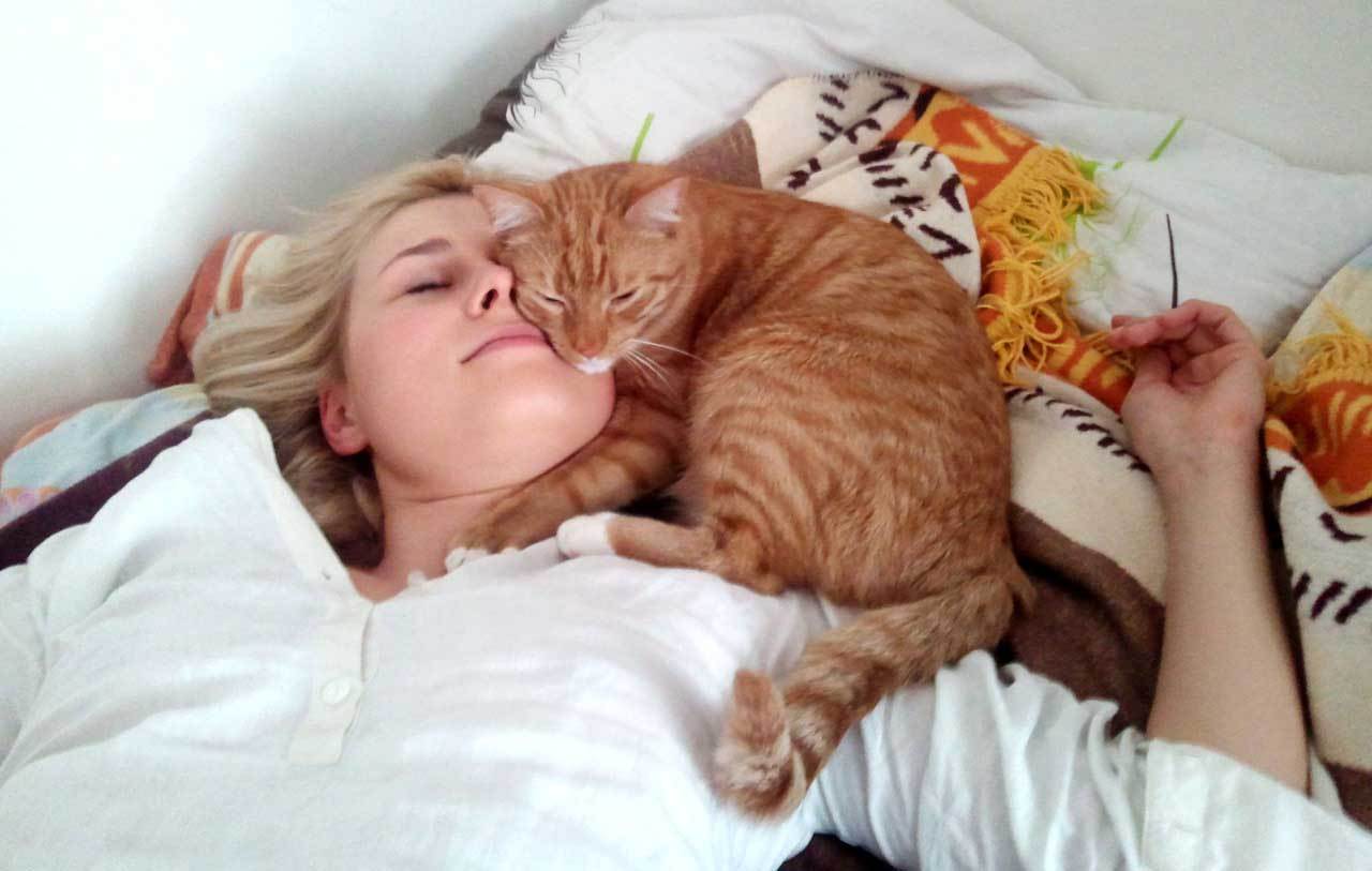 Почему кот спит на голове хозяина - oozoo.ru