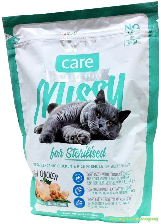 Сухие корма для кошек brit: сравнение линеек premium и care