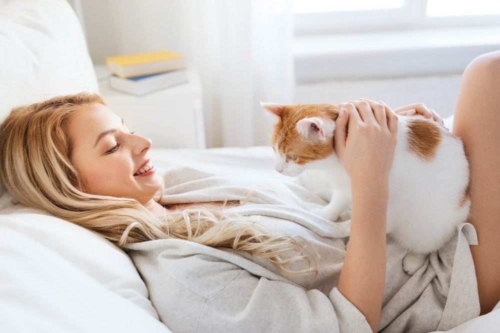 Почему кошки устраиваются спать в нашей постели? - статьи