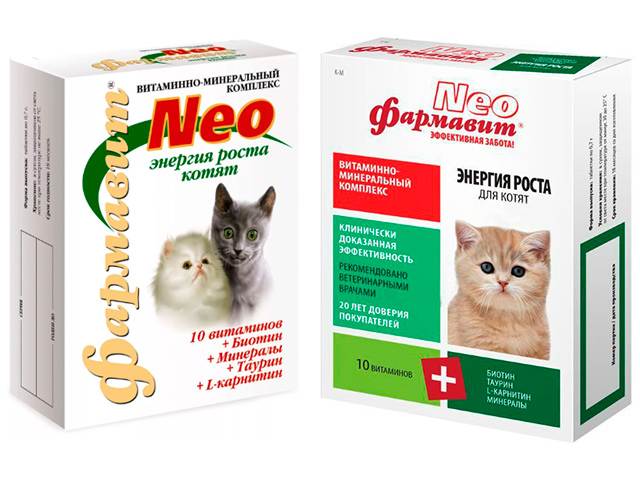 Как выбрать витамины для кошек