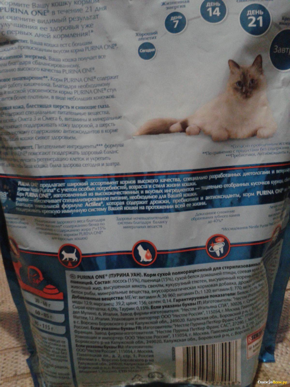 Подробно о сухих и жидких кормах для взрослых кошек и котят от purina one
