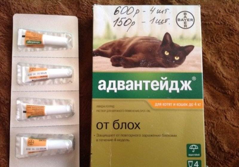 Адвантейдж для кошек инструкция по применению