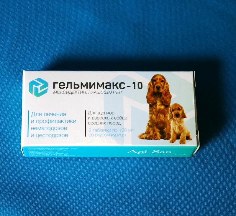 Клинические исследования терапевтической эффективности препарата «гельмимакс» при гельминтозах собак и кошек | апиценна