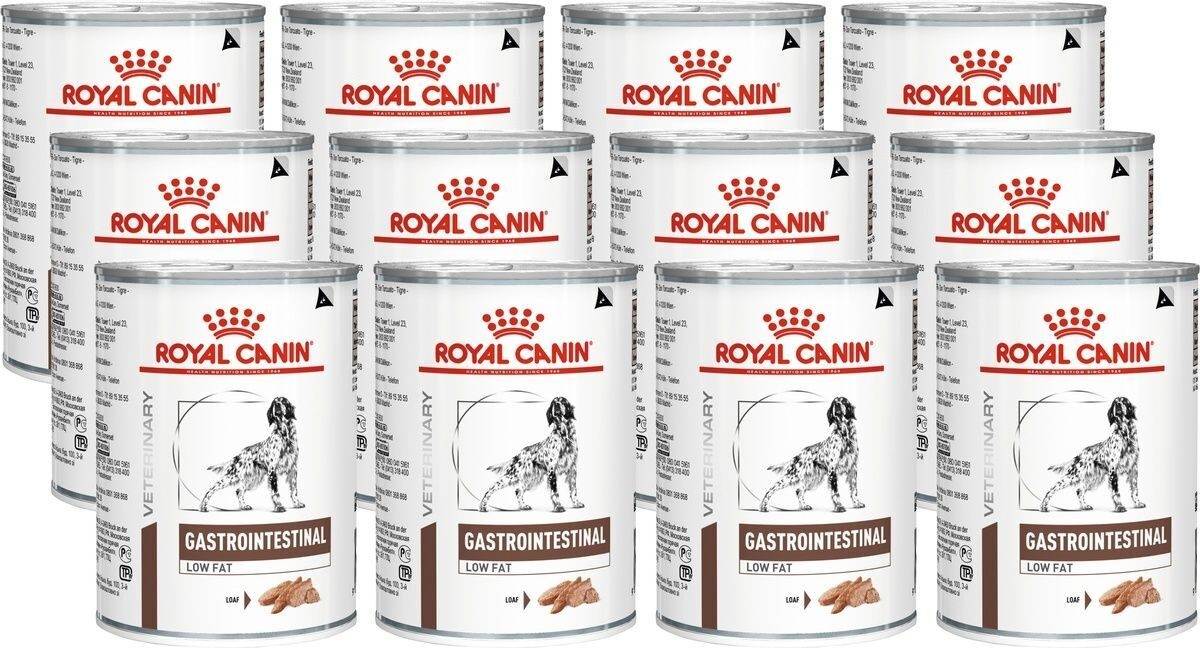 Корм royal canin gastro intestinal - описание, состав, виды и отзывы :: syl.ru