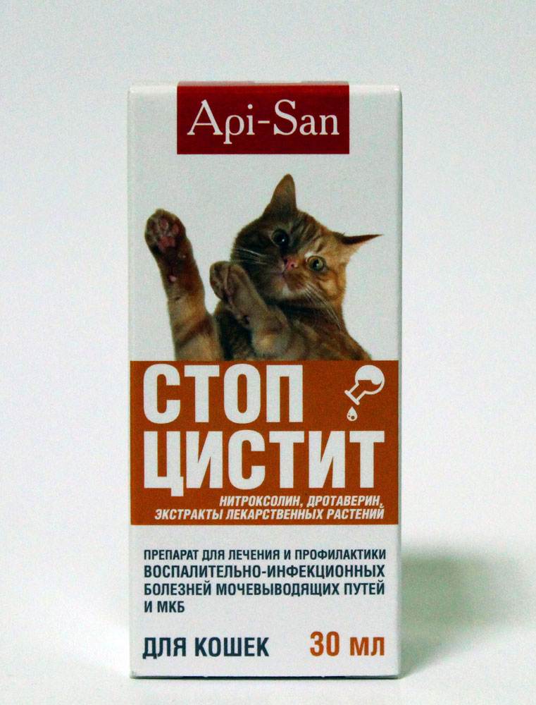 Стоп цистит для кошек и котов: таблетки и суспензия, инструкция по применению, состав, сколько стоит, побочные действия