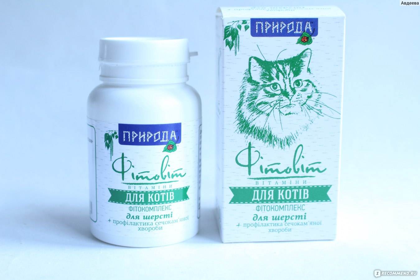 Вазелиновое масло для кошек: применение при запорах, как и сколько давать коту, дозировка, инструкция по применению