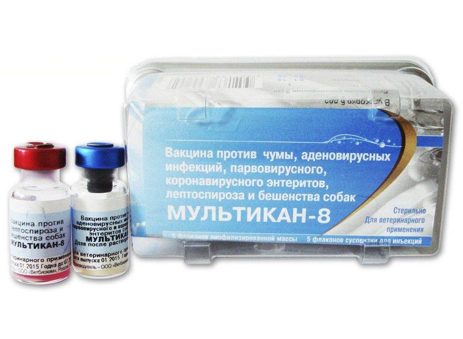 Вакцинация от ковид-19: какую вакцину выбрать спутникv или эпиваккорона?
