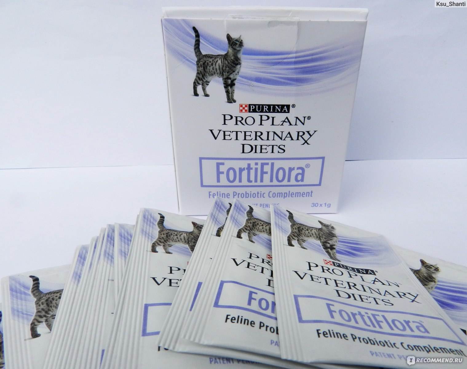 Фортифлора для собак: инструкция по применению | ваши питомцы