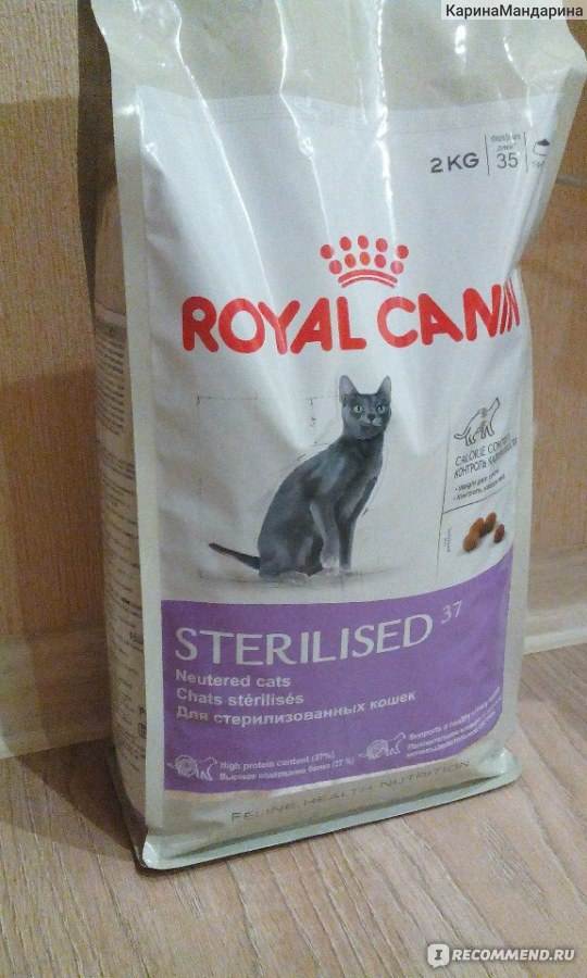 Обзор корма для кошек роял канин (royal canin): виды, состав, отзывы