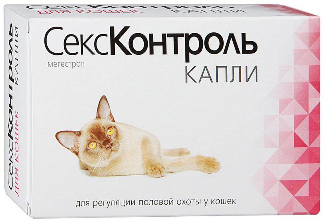 Средства для кошки против гуляния: обзор гормональных капель и таблеток