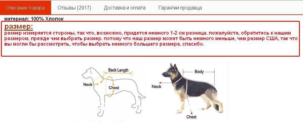 Породы крупных собак: фото с названиями по алфавиту, классификация